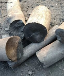 Than củi Xà Cừ