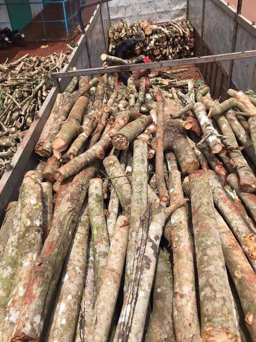giá bán củi khô đốt