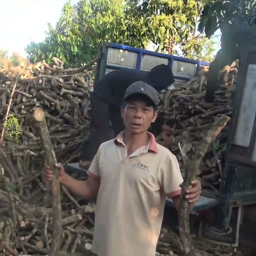 Vì sao cành cà phê khô cho than chất lượng